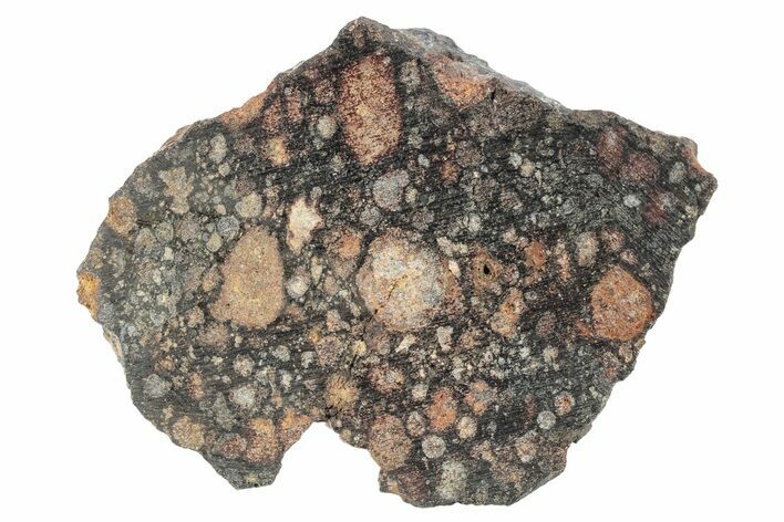 Chondrite Meteorite Section ( g) - NWA #271645